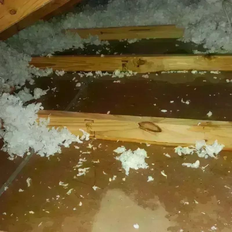 Attic Water Damage in Floyd County, TX